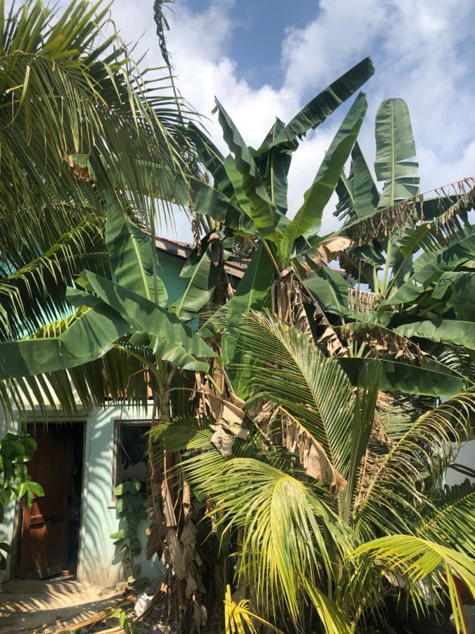 Macondo Mpai Bay كوه رونغ ساملوم المظهر الخارجي الصورة